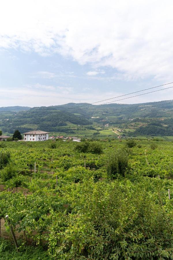 Amagi Home Montecchia di Crosara Экстерьер фото